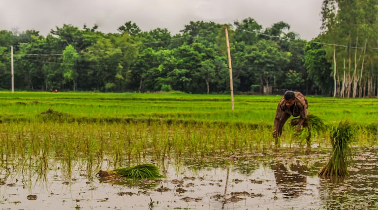 ग्राम–2026 के साथ राजस्थान की कृषि को मिल रहा व्यापक आयाम, तकनीक और नीतियों से खुल रहे अवसर