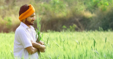 किसानों के लिए सूचना: कृषि उपज मंडी हरदा में 27 मार्च से 3 अप्रैल तक नीलामी रहेगी बंद