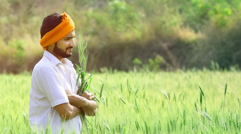 किसानों के लिए सूचना: कृषि उपज मंडी हरदा में 27 मार्च से 3 अप्रैल तक नीलामी रहेगी बंद