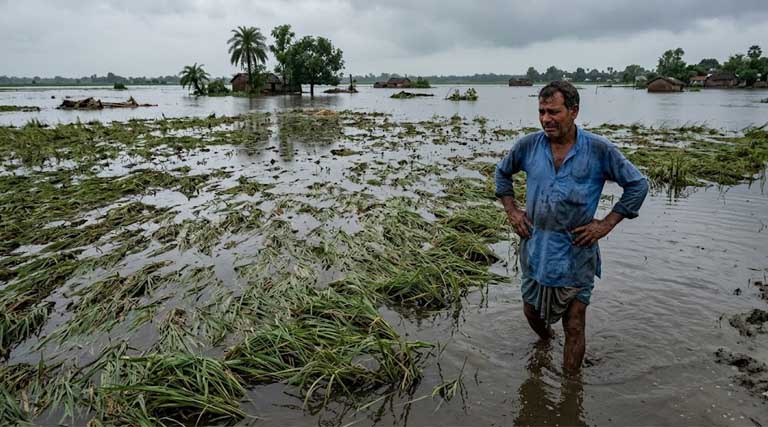बारिश-बाढ़ में फसल हुई खराब? इस हेल्पलाइन नंबर पर तुरंत करें रिपोर्ट, मिलेगी जल्द राहत