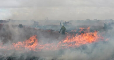 मध्यप्रदेश: खंडवा में नरवाई जलाई पर दो किसानों पर लगा 2500 रु. का जुर्माना  