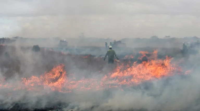 मध्यप्रदेश: खंडवा में नरवाई जलाई पर दो किसानों पर लगा 2500 रु. का जुर्माना  