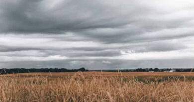 MP Weather: मध्य प्रदेश में मौसम की लुकाछिपी, तेज गर्मी के बीच ग्वालियर समेत इन जिलों में बारिश-तेज हवाओं का अलर्ट