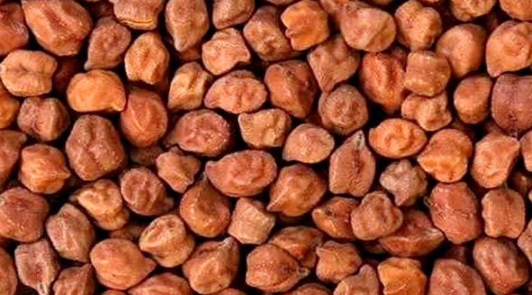 बड़वानी: चना उपार्जन 30 मार्च से प्रारम्भ होगा