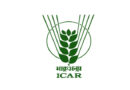 ICAR-IARI: आईएआरआई ने ऑनलाइन क्लास का फैसला लिया वापस, अब ऑफलाइन ही होंगी पढ़ाई