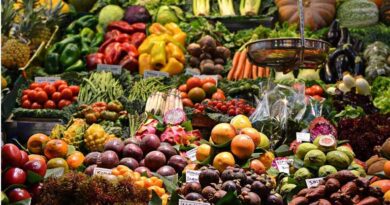 सिवनी में 29-30 मार्च को पुष्प-फल-सब्जी महोत्सव, किसानों को मिलेगी नई तकनीकों की जानकारी