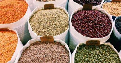 किसानों को किफायती दरों पर गुणवत्तापूर्ण बीज उपलब्ध कराने के निर्देश