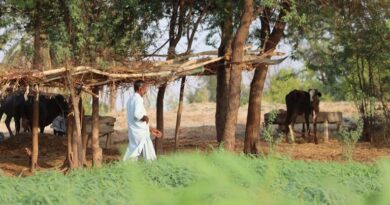 समृद्ध किसान-समृद्ध प्रदेश की थीम हो रही साकार