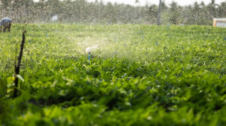 सरकार की इस योजना के बाद फिरोजाबाद के किसान अब सफलता पूर्वक कर सकेंगे सिंचाई