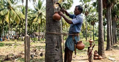 ताड़ के पेड़ों से ‘नीरा’ निकालने के लिए लाइसेंस अनिवार्य