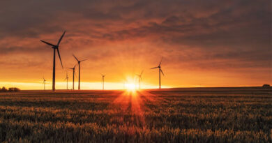 शहडोल: जैविक खेती अंतर्गत मृदा सौर्यीकरण पर प्रशिक्षण संपन्न