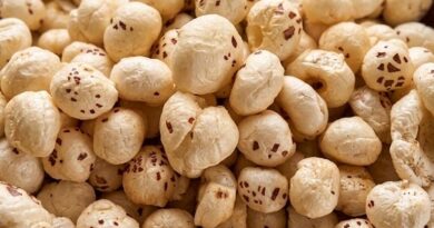 रायपुर: धमतरी जिले में 100 एकड़ भूमि पर मखाना उत्पादन की तैयारी, महिला किसानों को मिलेगा लाभ  