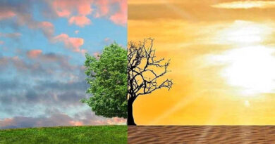 राजस्थान में किसानों के लिए एग्रीकल्चर कार्बन क्रेडिट प्रोजेक्ट शुरू, आय और जलवायु संरक्षण दोनों पर फोकस  