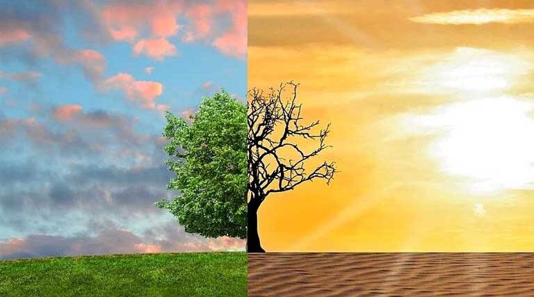 राजस्थान में किसानों के लिए एग्रीकल्चर कार्बन क्रेडिट प्रोजेक्ट शुरू, आय और जलवायु संरक्षण दोनों पर फोकस  