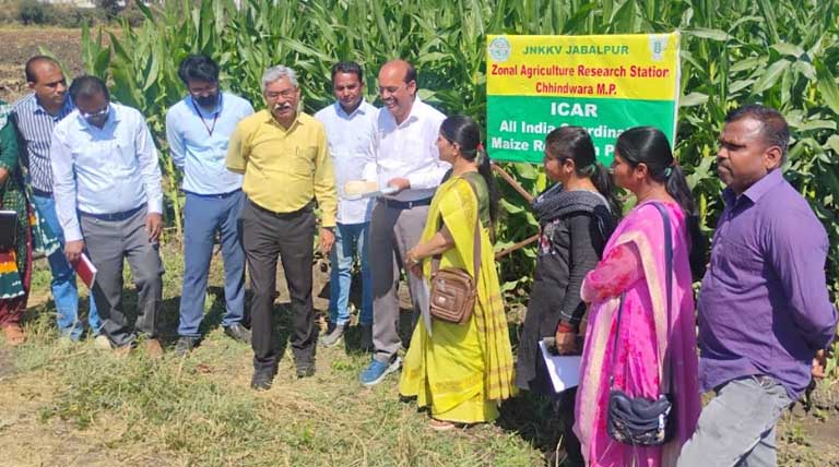 छिंदवाड़ा : संचालक विस्तार सेवाएं ने किया निरीक्षण