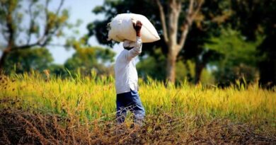 11-12 मार्च को अलीराजपुर में आयोजित होगा जिला स्तरीय कृषि मेला, किसानों को मिलेगा आधुनिक खेती का ज्ञान  