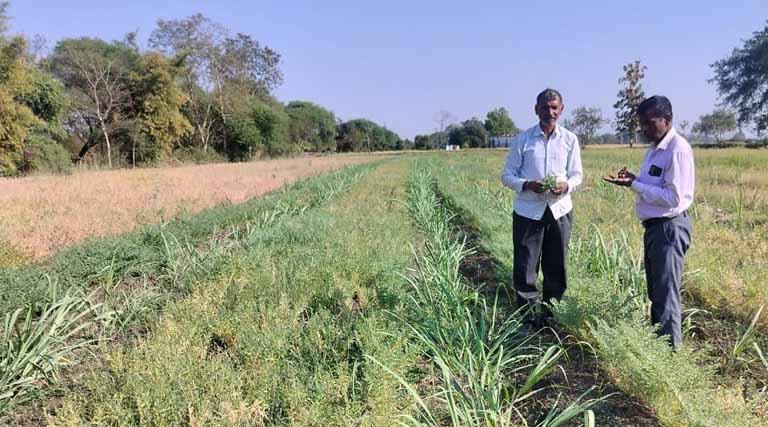 मध्यप्रदेश: समन्वित खेती से चमकी नरसिंहपुर के किसान की किस्मत, सालाना कर रहे 2.50 लाख की कमाई  