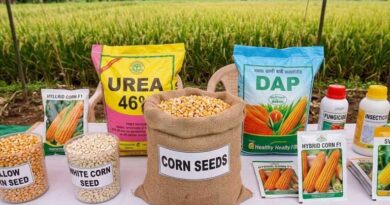 जनजाति क्षेत्र के कृषकों को 10 लाख से अधिक मक्का बीज मिनिकिट का निःशुल्क वितरण - राजस्थान कृषि मंत्री