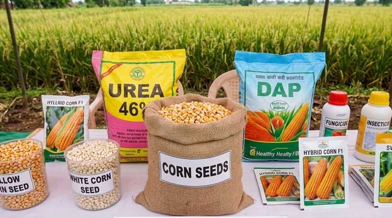 जनजाति क्षेत्र के कृषकों को 10 लाख से अधिक मक्का बीज मिनिकिट का निःशुल्क वितरण - राजस्थान कृषि मंत्री