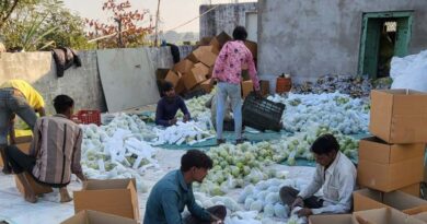 भोपाल : अभिषेक ने अमरूद की खेती से बदली तस्वीर