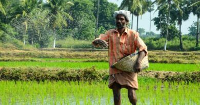 उर्वरक उत्पादन के लिए प्राकृतिक गैस को भारत ने दी प्राथमिकता; वर्तमान उर्वरक भंडार पिछले वर्ष से 36.6% अधिक