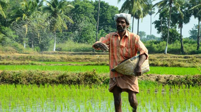 उर्वरक उत्पादन के लिए प्राकृतिक गैस को भारत ने दी प्राथमिकता; वर्तमान उर्वरक भंडार पिछले वर्ष से 36.6% अधिक