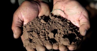 हरदा में मृदा स्वास्थ्य में सुधार हेतु किसानों को दी सलाह