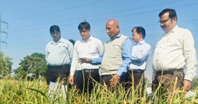 लहसुन नई किस्में – धमनार क्रांति एवं डायमंड का प्रदर्शन