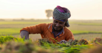 उपार्जन के लिए किसानों का पंजीयन 7 मार्च तक
