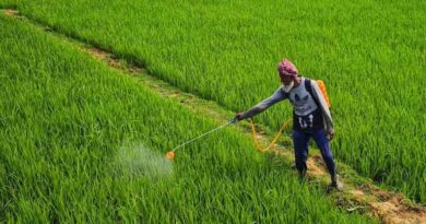 राजस्थान में कृषि मंडी विकास के लिए नई भूमि अर्जन नीति मंजूर, मंडियों और यार्डों का तेजी से होगा विकास
