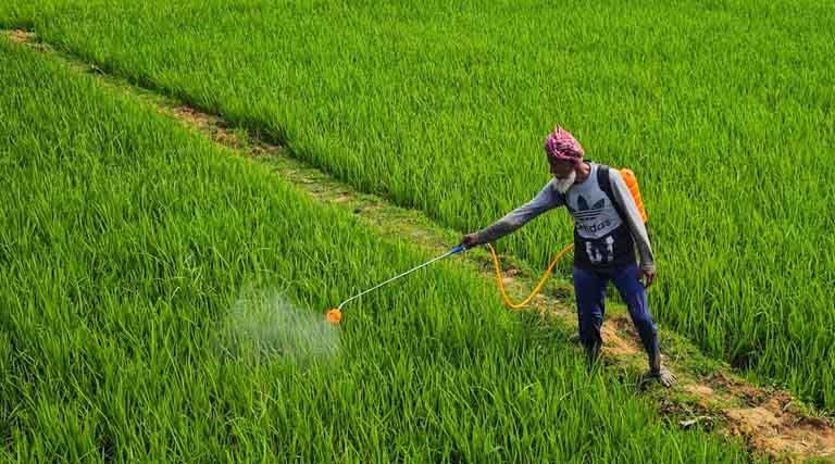 राजस्थान में कृषि मंडी विकास के लिए नई भूमि अर्जन नीति मंजूर, मंडियों और यार्डों का तेजी से होगा विकास