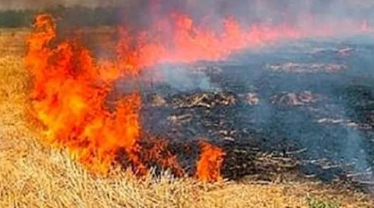 ग्वालियर जिले में नरवाई प्रबंधन के लिये बनाई व्यापक कार्य योजना