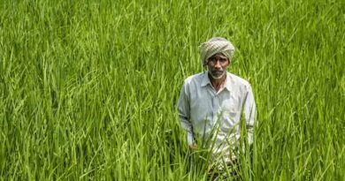 नैनो उर्वरकों पर सख्त नियम: सरकार ने फर्टिलाइजर कंट्रोल ऑर्डर में किया संशोधन