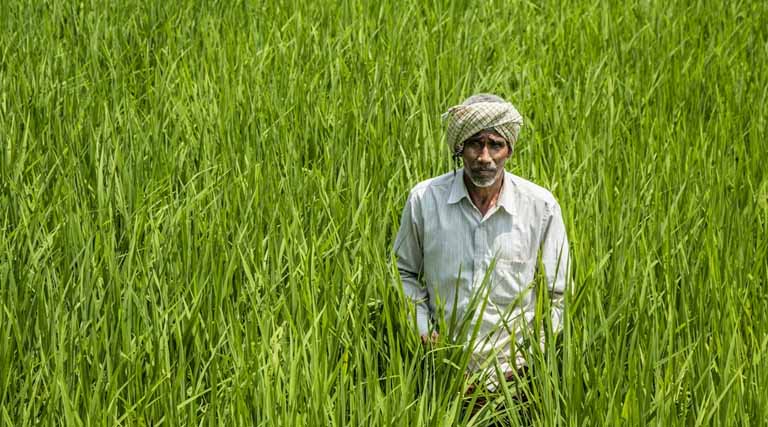 नैनो उर्वरकों पर सख्त नियम: सरकार ने फर्टिलाइजर कंट्रोल ऑर्डर में किया संशोधन