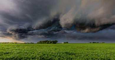 MP Weather: इंदौर-भोपाल समेत इन जिलों में गरज-चमक और तेज हवाओं का अलर्ट, 40-50 कि.मी. की रफ्तार से चलेंगी हवाएं