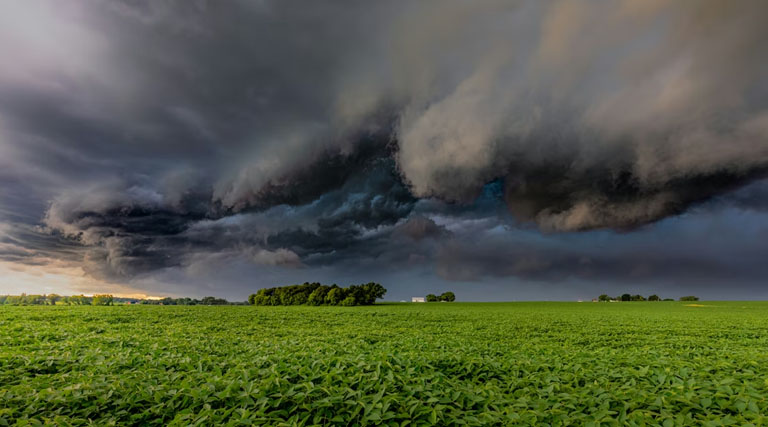 MP Weather: इंदौर-भोपाल समेत इन जिलों में गरज-चमक और तेज हवाओं का अलर्ट, 40-50 कि.मी. की रफ्तार से चलेंगी हवाएं