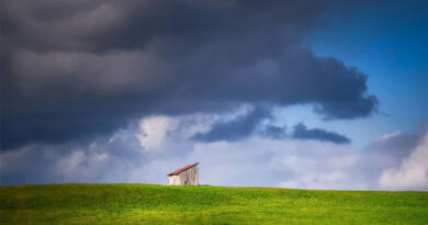 झाबुआ: किसानों को फसल सुरक्षित रखने की सलाह