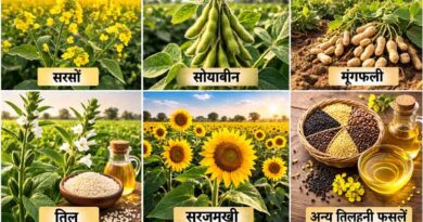 किसान कल्याण वर्ष 2026: ग्वालियर में तिलहनी फसलों की वैज्ञानिक खेती पर दिया गया प्रशिक्षण