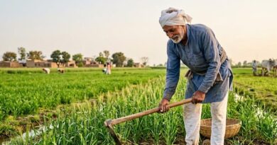 मिडिल ईस्ट की जंग का भारत की खेती पर नहीं पड़ेगा असर, सरकार ने खाद के लिए वैकल्पिक स्रोत खोजने की तैयारी तेज की- कृषि आयुक्त