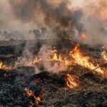 नर्मदापुरम में नरवाई प्रबंधन हेतु बेलर संचालकों के साथ बैठक आयोजित