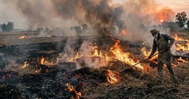 नर्मदापुरम में नरवाई प्रबंधन हेतु बेलर संचालकों के साथ बैठक आयोजित