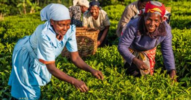 विश्व कृषि मंच ने महिलाओं के लिए की प्रमुख सिफारिशें