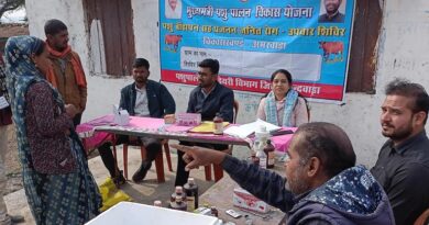 ‘वृंदावन ग्राम योजना’ से छिंदवाड़ा में गौ-पालन और डेयरी विकास को मिली नई गति