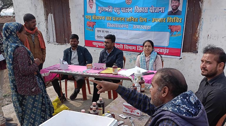 ‘वृंदावन ग्राम योजना’ से छिंदवाड़ा में गौ-पालन और डेयरी विकास को मिली नई गति