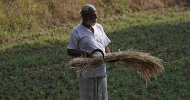 किसानों के लिए जरूरी सूचना: कृषि उपज मंडी जबलपुर में 27 मार्च से 1 अप्रैल तक नीलामी रहेगी बंद