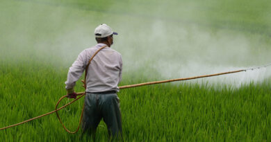 भारत में प्रति हेक्टेयर कीटनाशक उपयोग वैश्विक स्तर से काफी कम; क्रॉपलाइफ इंडिया ने आंकड़ों के साथ स्थिति स्पष्ट की
