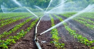 मध्यप्रदेश: मंदसौर जिले में 1104 स्प्रिंकलर/ड्रिप सेट स्वीकृत, किसानों को आधुनिक सिंचाई तकनीक से मिलेगा लाभ मध्यप्रदेश: मंदसौर जिले में 1104 स्प्रिंकलर/ड्रिप सेट स्वीकृत, किसानों को आधुनिक सिंचाई तकनीक से मिलेगा लाभ