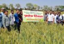 बूंदी में डीबीडब्ल्यू-303 गेहूं प्रक्षेत्र दिवस, किसानों को उन्नत खेती और पोषण सुरक्षा की जानकारी दी गई