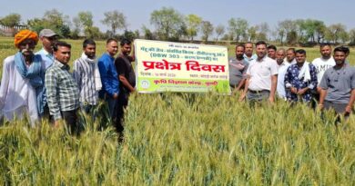 बूंदी में डीबीडब्ल्यू-303 गेहूं प्रक्षेत्र दिवस, किसानों को उन्नत खेती और पोषण सुरक्षा की जानकारी दी गई