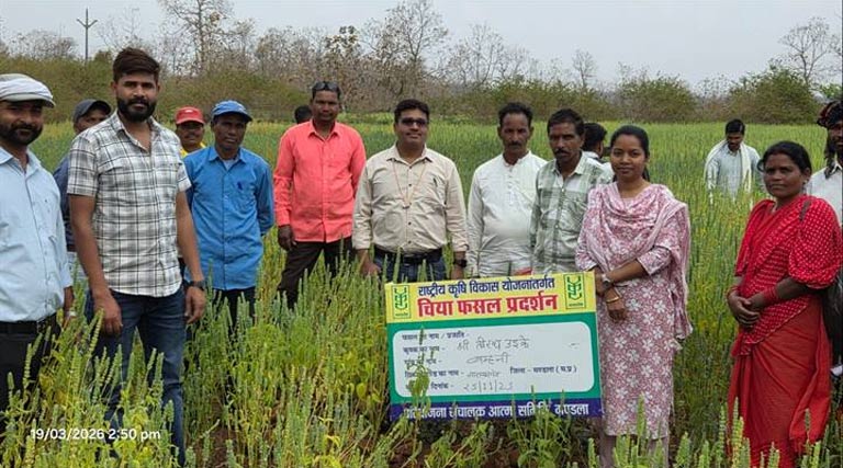 मध्यप्रदेश: मंडला जिले में चिया खेती को बढ़ावा, 2000 एकड़ में फसल विविधीकरण का अभियान तेज